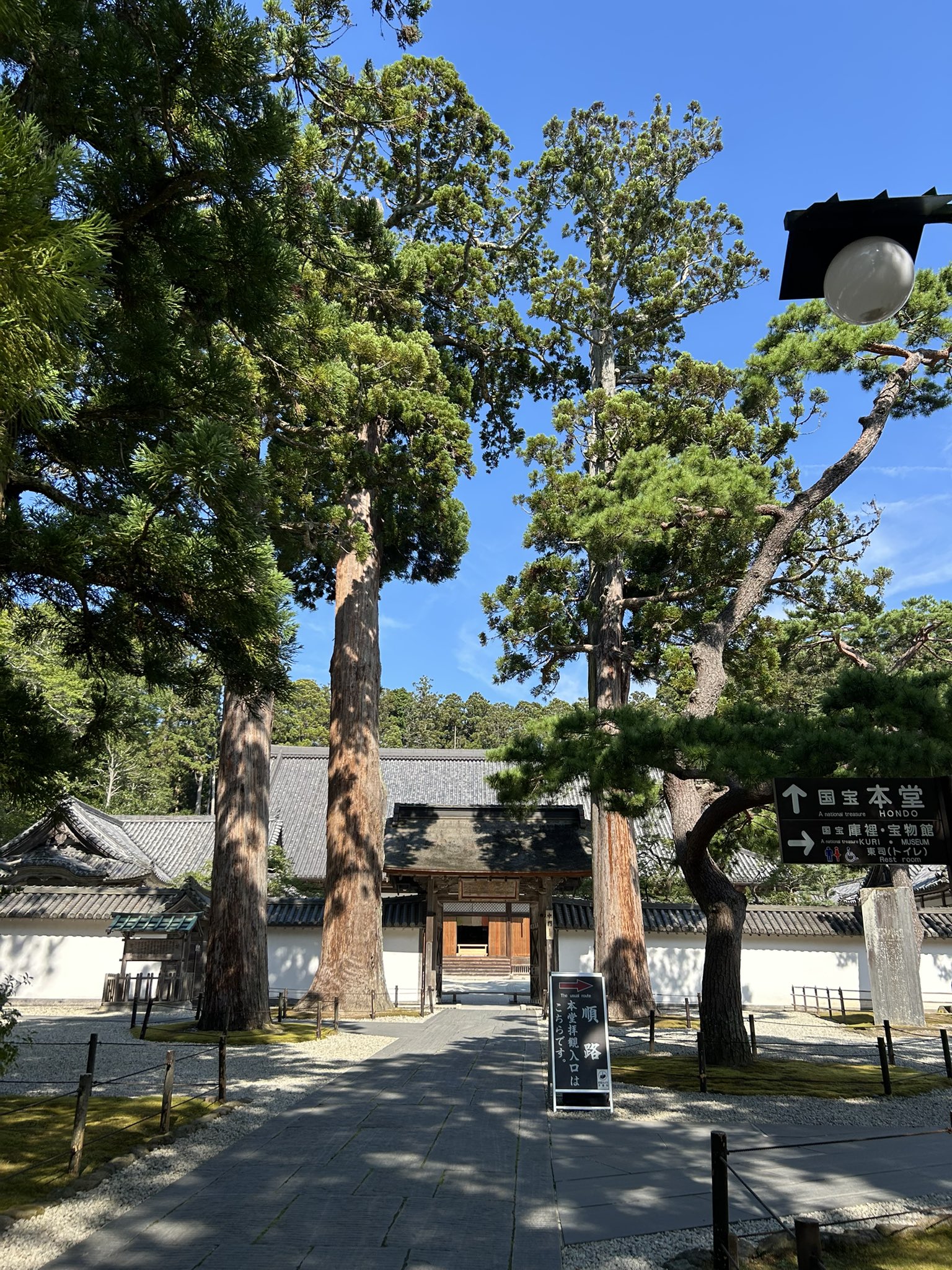 迷路の宮殿 もうすぐ完成！太宰府天満宮「仮殿」 - UAP14475 のブログⅢ