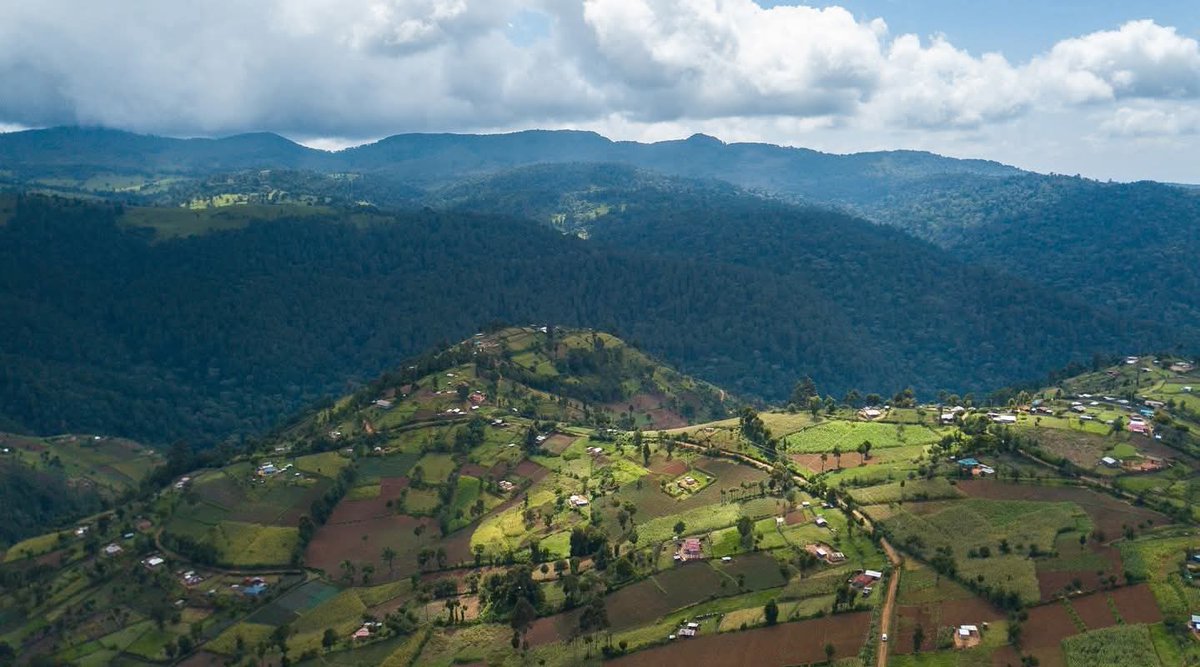 Cruising above Kericho County