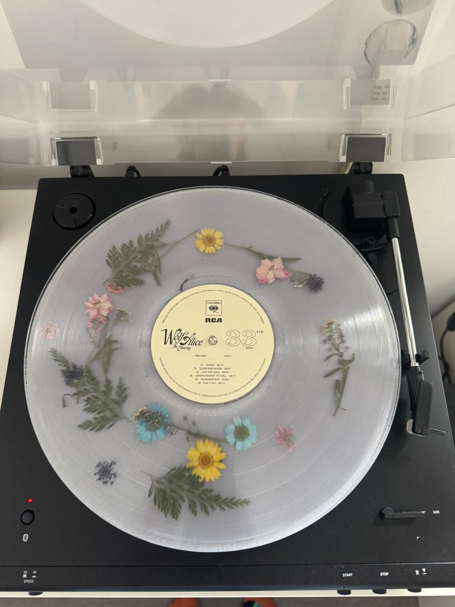 LoesBaars's tweet photo. Obsessed🌸 https://t.co/cbyVLce3wz
