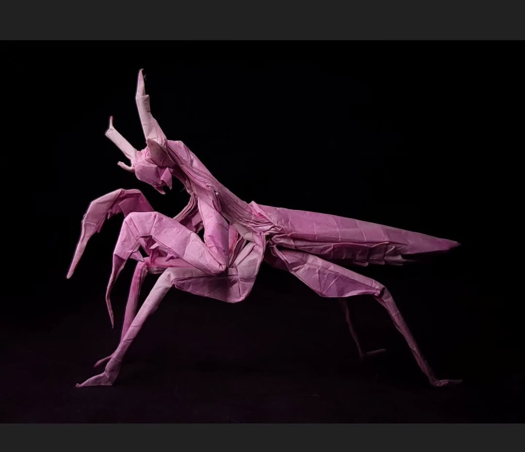 Orchid Mantis Design by <a href="/origami_MK/">맹형규</a>

Folded by me with a 50cm DT