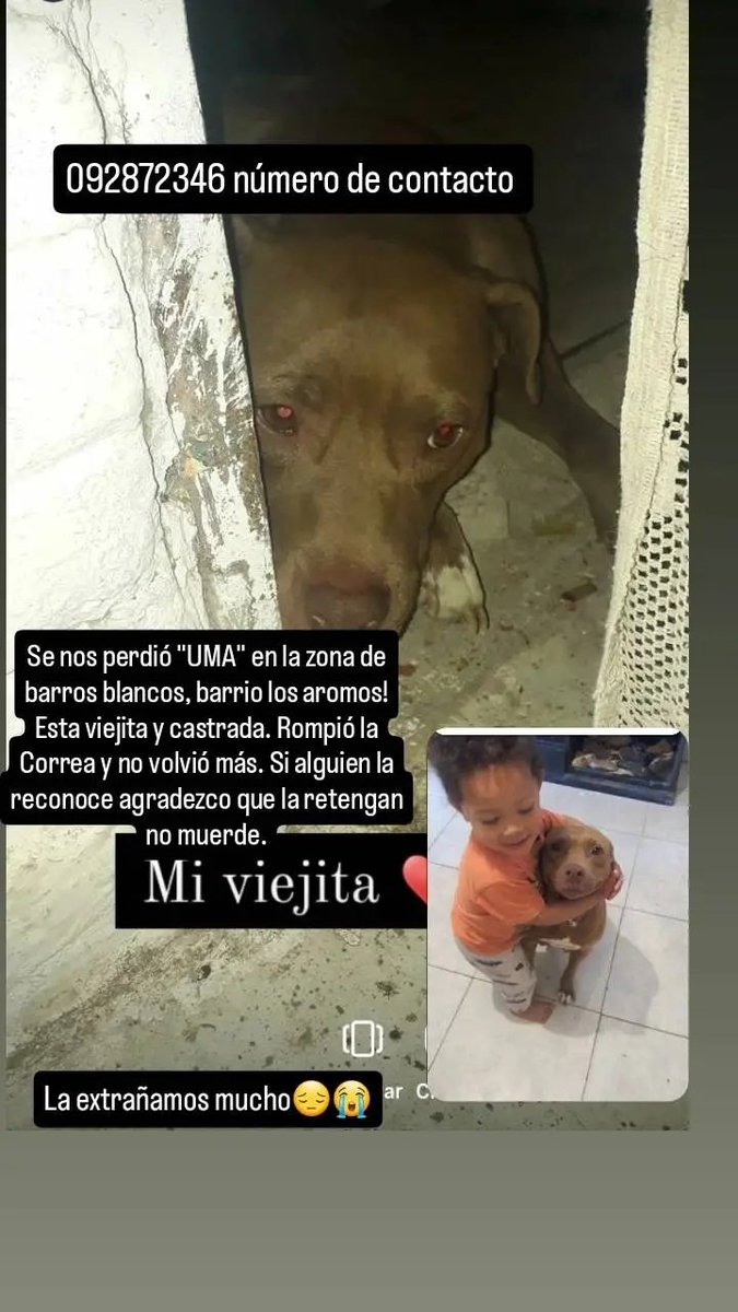 Copio de Facebook: Se busca ! Vuelvo a publicar !!! Uma tiene una verruga en el lomo a la altura de la cabeza  si pueden compartir agradezco.