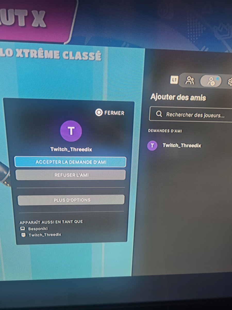 When I say that Fall Guys is a slutty community, I know why I say that, look at this. The other bum calls his account Epic Game like me and sends me a friend request.