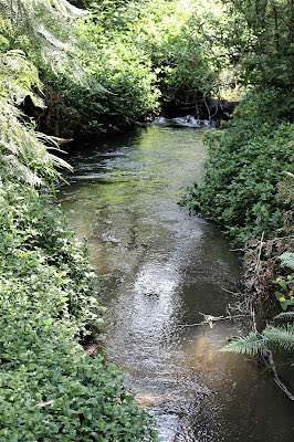 alwriting's tweet photo. My ode to 'Summer in the Hills'
https://t.co/epI6tojKRf
#poetry #thedandenongs #monbulk https://t.co/AuAx4IJLQf