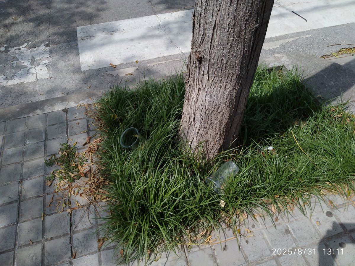 Stop Soroll / Fora Vandalisme tweet media