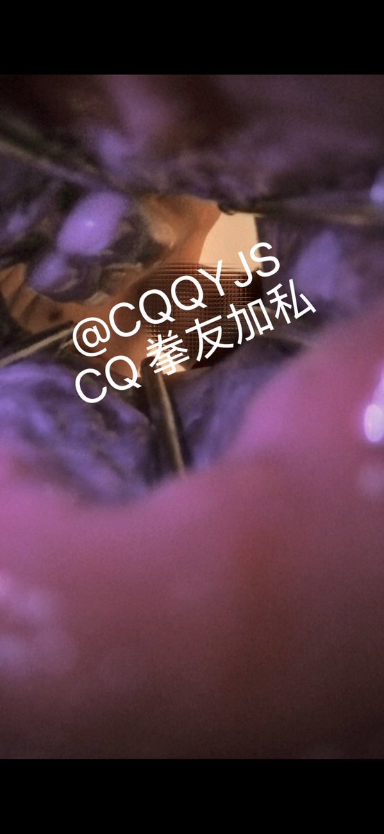 cq 拳 tweet media