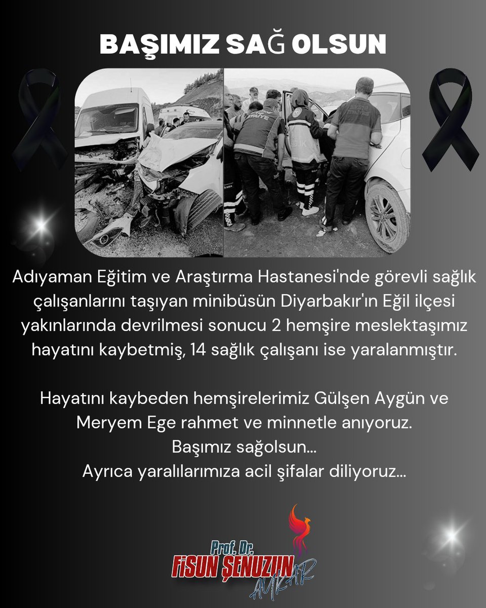 Adıyaman Eğitim ve Araştırma Hastanesi'nde görevli sağlık çalışanlarını taşıyan minibüsün Diyarbakır'ın Eğil ilçesi yakınlarında devrilmesi sonucu 2 hemşire meslektaşımız hayatını kaybetmiş, 14 sağlık çalışanı ise yaralanmıştır.

Hayatını kaybeden hemşirelerimiz Gülşen Aygün ve