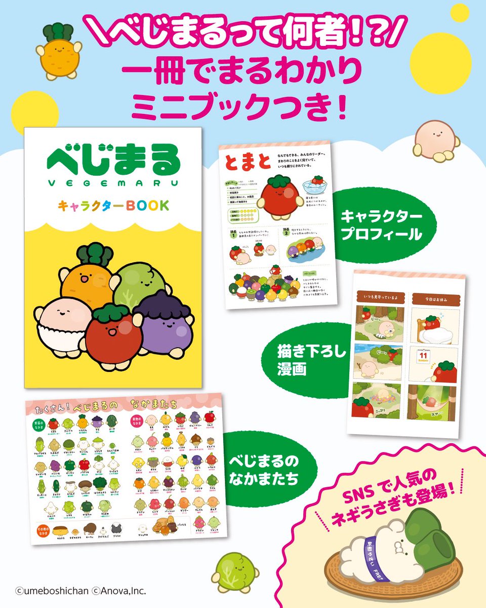 うめぼしちゃん (@umeboshi_chan19) / Posts / X