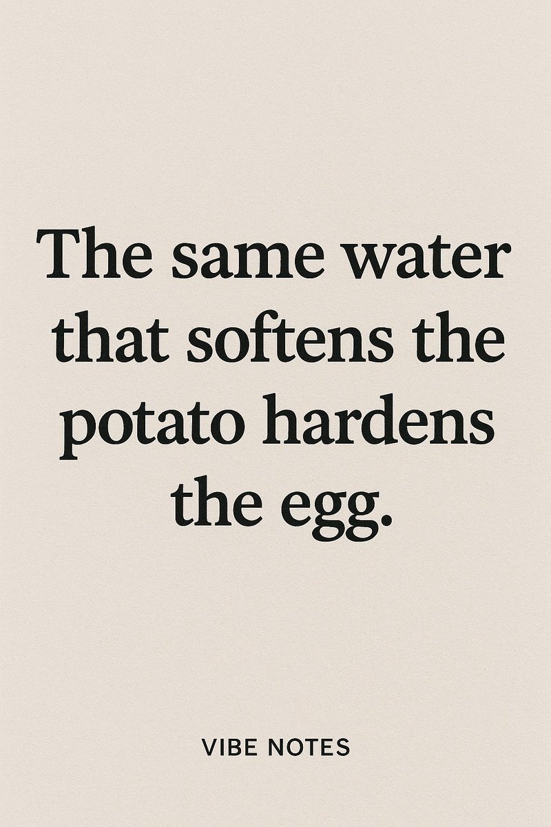 VibeNotes4u's tweet image. 