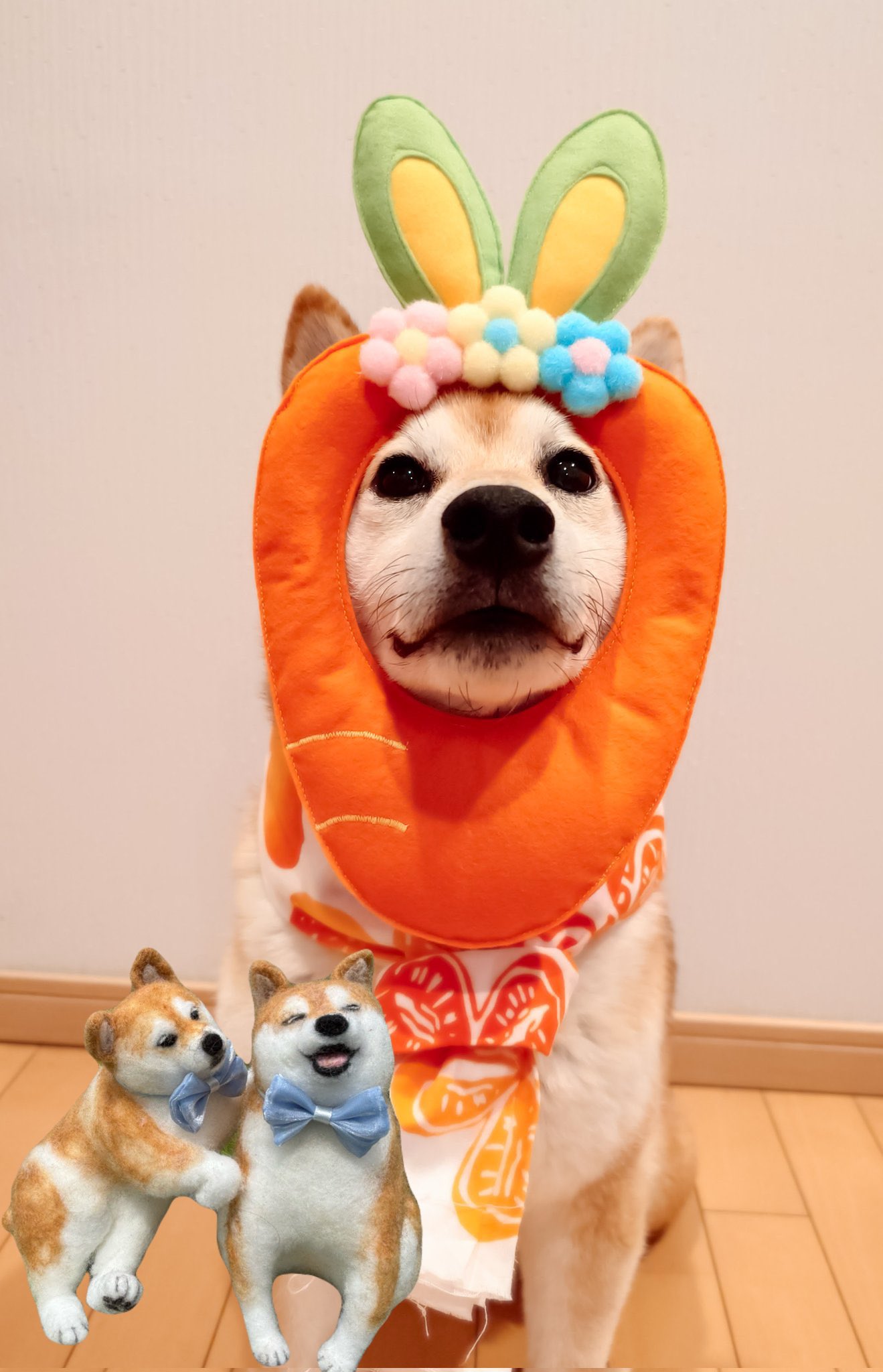 羊毛フェルト ウサギ 、柴犬ちゃん 柴犬 ちいちゃん日記 on X: 