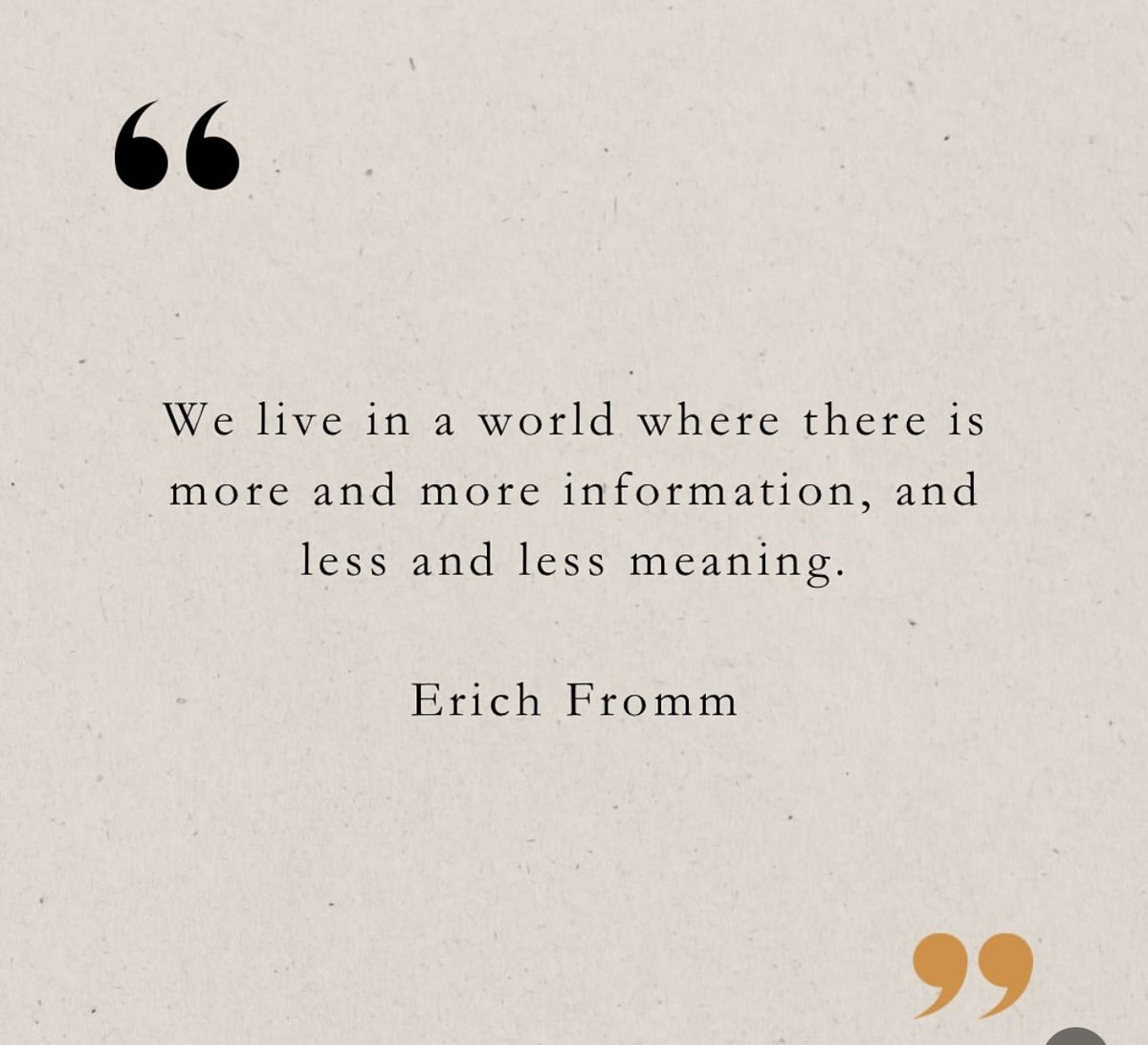 Pilar Vázquez Yanis (@trialegalpty) on Twitter photo 