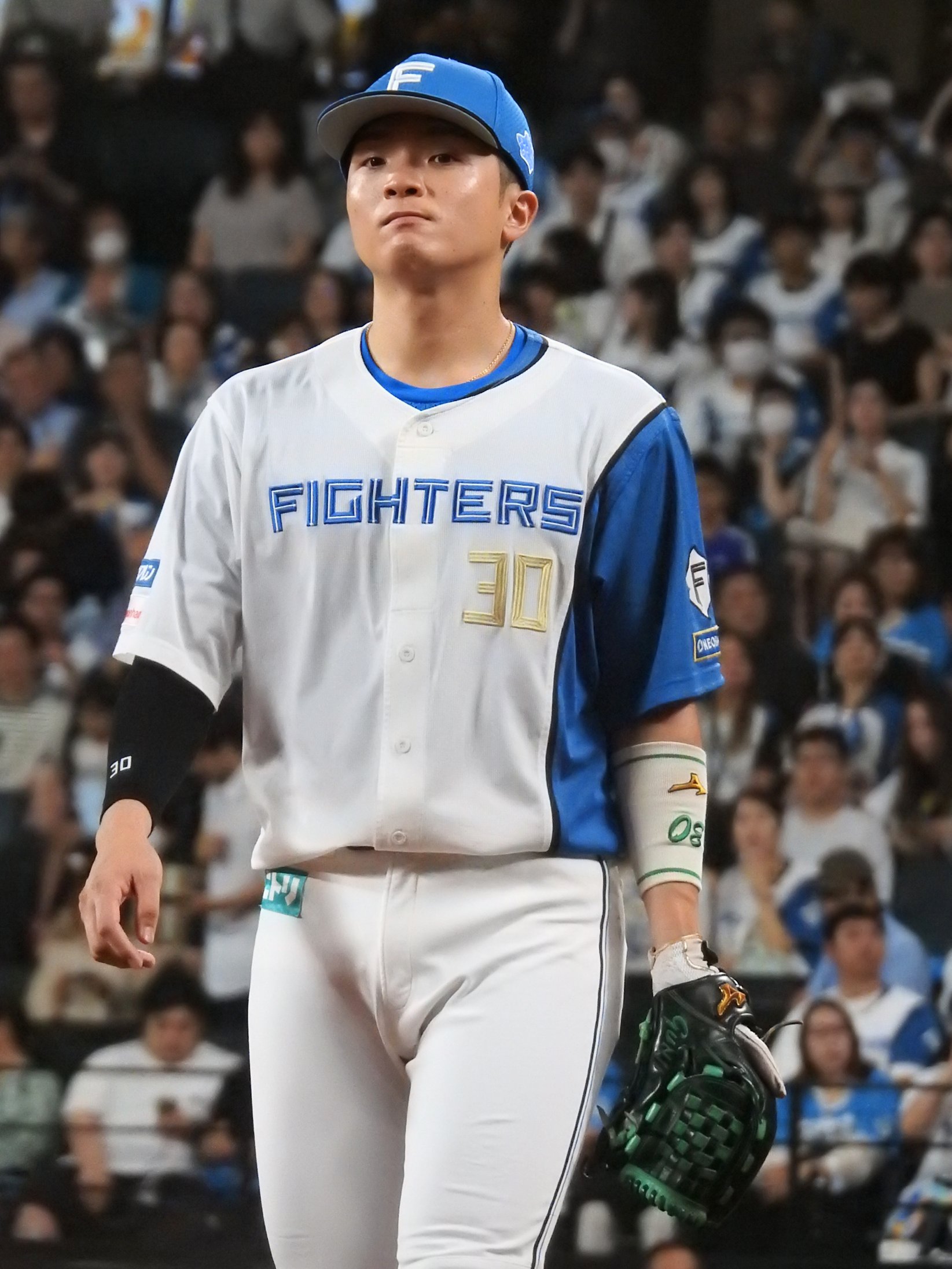 FIGHTERS 郡司裕也 等身大 両面タペストリー みーこ on X: