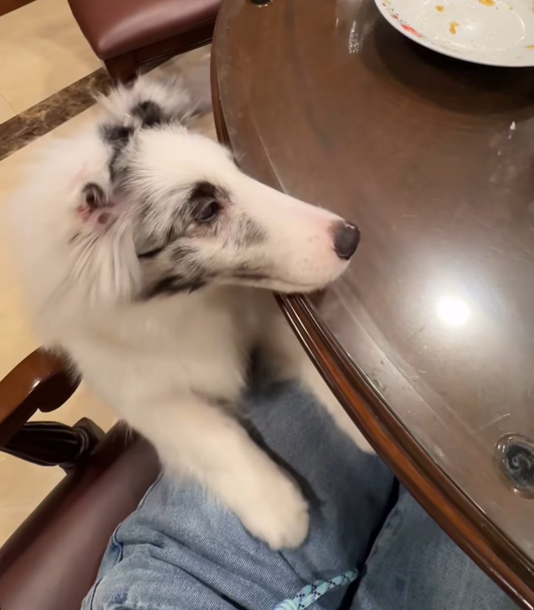 อานตี่พันชี่แบ่งเจเนทได้มั้ยคะ ปะป๊าสอนให้ sharing น้า #คุณหนูเจเนท