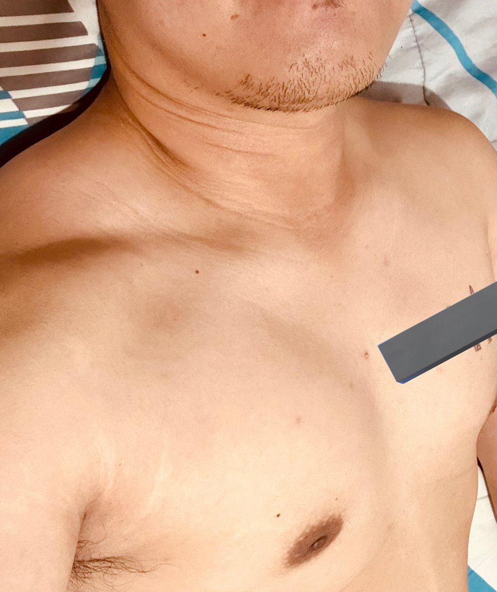 terdmark's tweet image. Home at last!