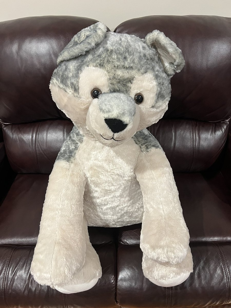 kevantan_11's tweet image. One happy wolfy boy finally got a Build-A-Bear Jumbo Wolf pup plush

See the video on how I got it: youtu.be/SJTodIjiChA

#wolfplush #wolf #wolfpup #plush #plushie #stuffedanimal #stuffed #giantwolfplush #jumbowolfplush #buildabear #jumboplush #bigplush #giantplush #bab #owo