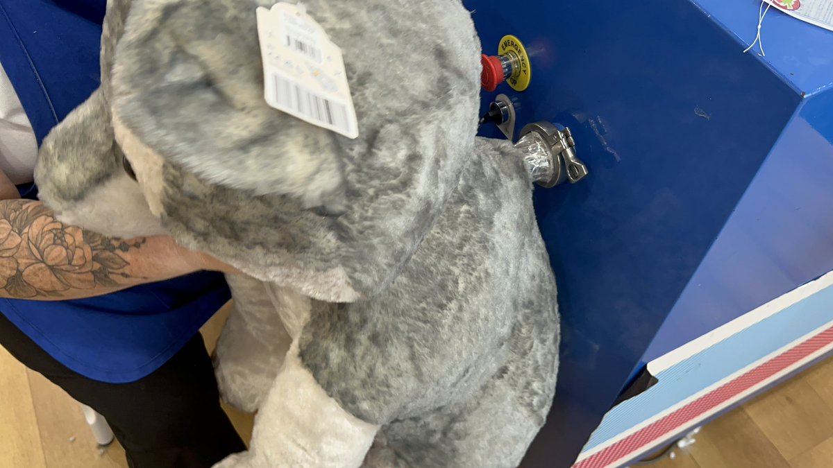 kevantan_11's tweet image. One happy wolfy boy finally got a Build-A-Bear Jumbo Wolf pup plush

See the video on how I got it: youtu.be/SJTodIjiChA

#wolfplush #wolf #wolfpup #plush #plushie #stuffedanimal #stuffed #giantwolfplush #jumbowolfplush #buildabear #jumboplush #bigplush #giantplush #bab #owo