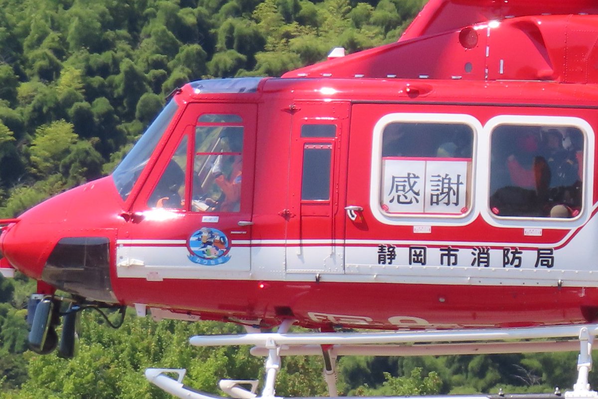 カモノハシペリー ウルトラディテールフィギュア No.234 UDF Disney シリーズ4