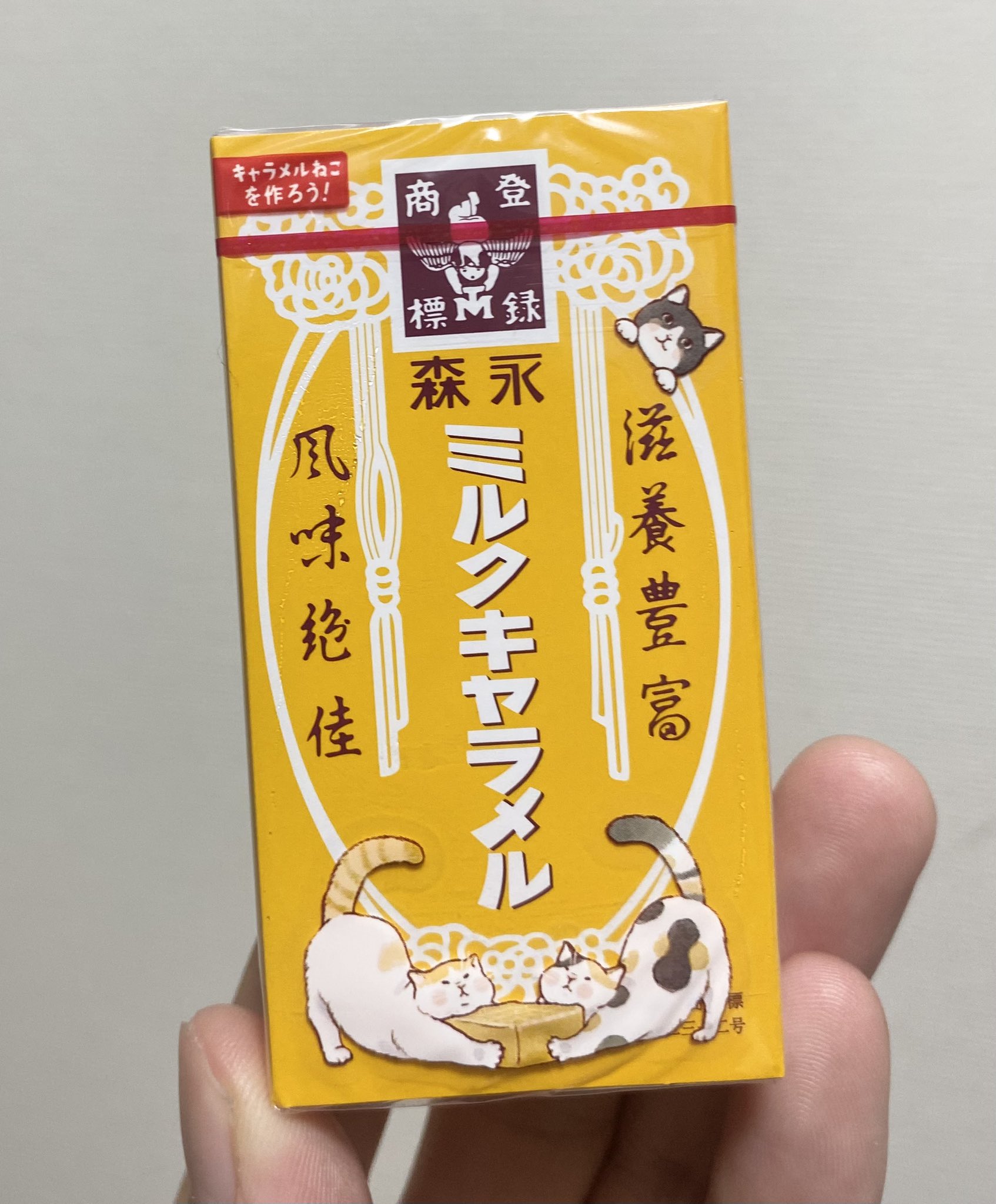 小針侑起 on X: 
