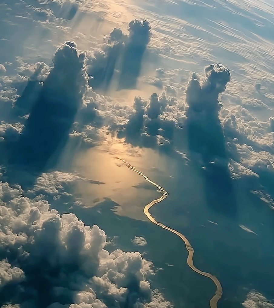 N Fronabs tweet media