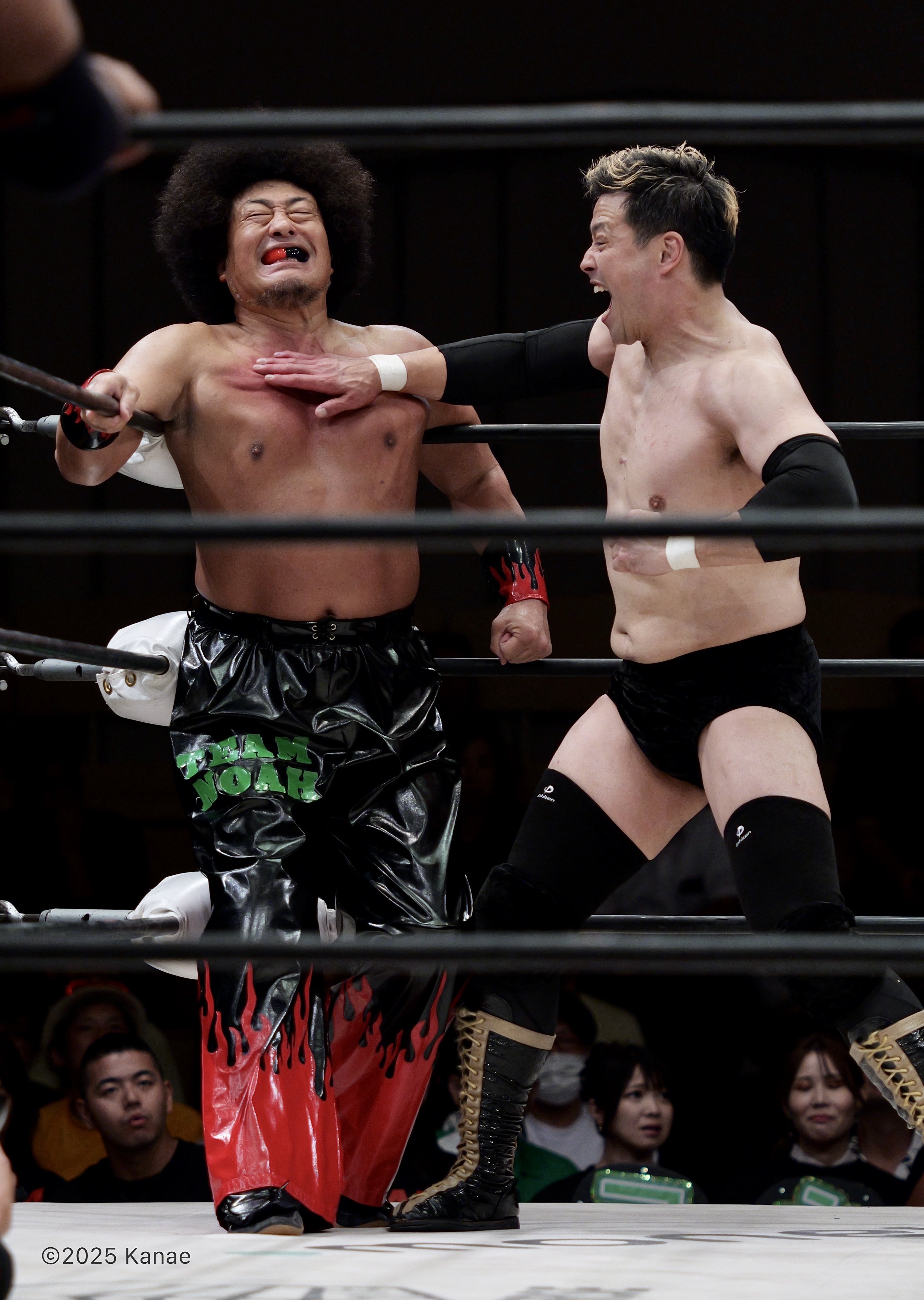 NOAH KENTA チャンピオンベルト付き　モグラハウス未開封 NOAH KENTA チャンピオンベルト付き モグラハウス未開封 NOAH