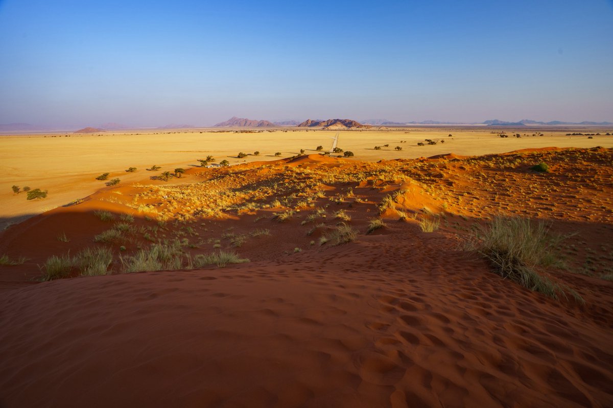 Hidesiba's tweet photo. Namib① https://t.co/DfAO2lybOr