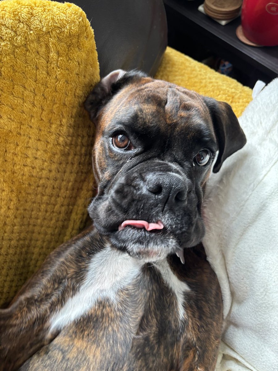 Bella showing her naughty side