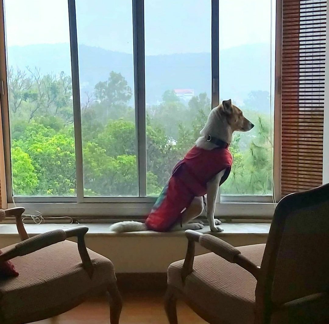 <a href="/DailyPicTheme2/">Daily Picture Theme</a> Intense #observation