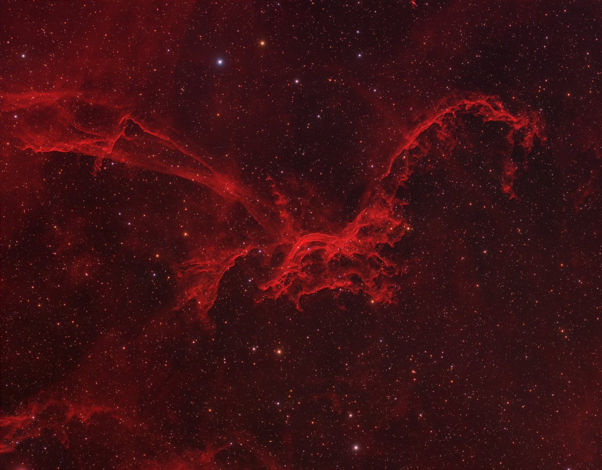 سديم التنين الطائر 🐉 

من سماء قطر