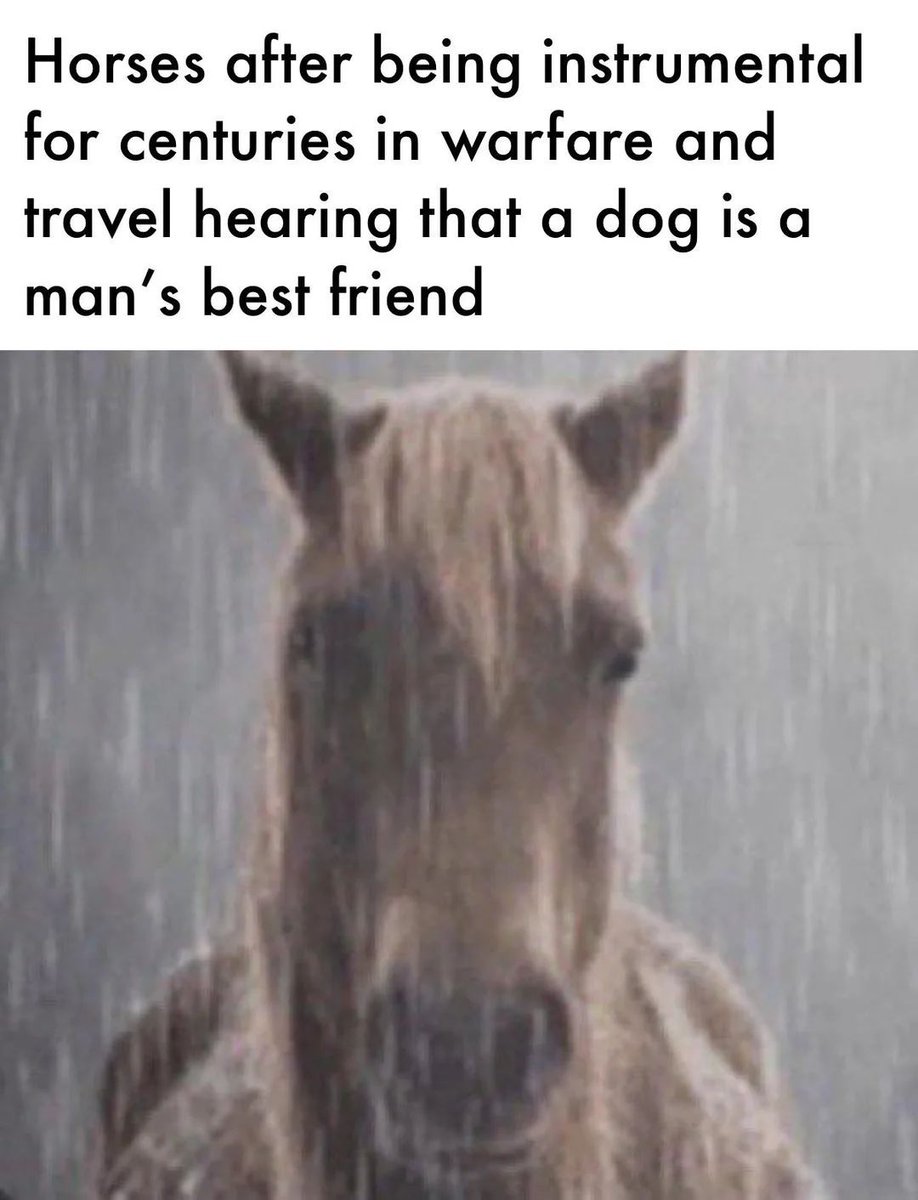 no context antimemes (@antimemesno) on Twitter photo 