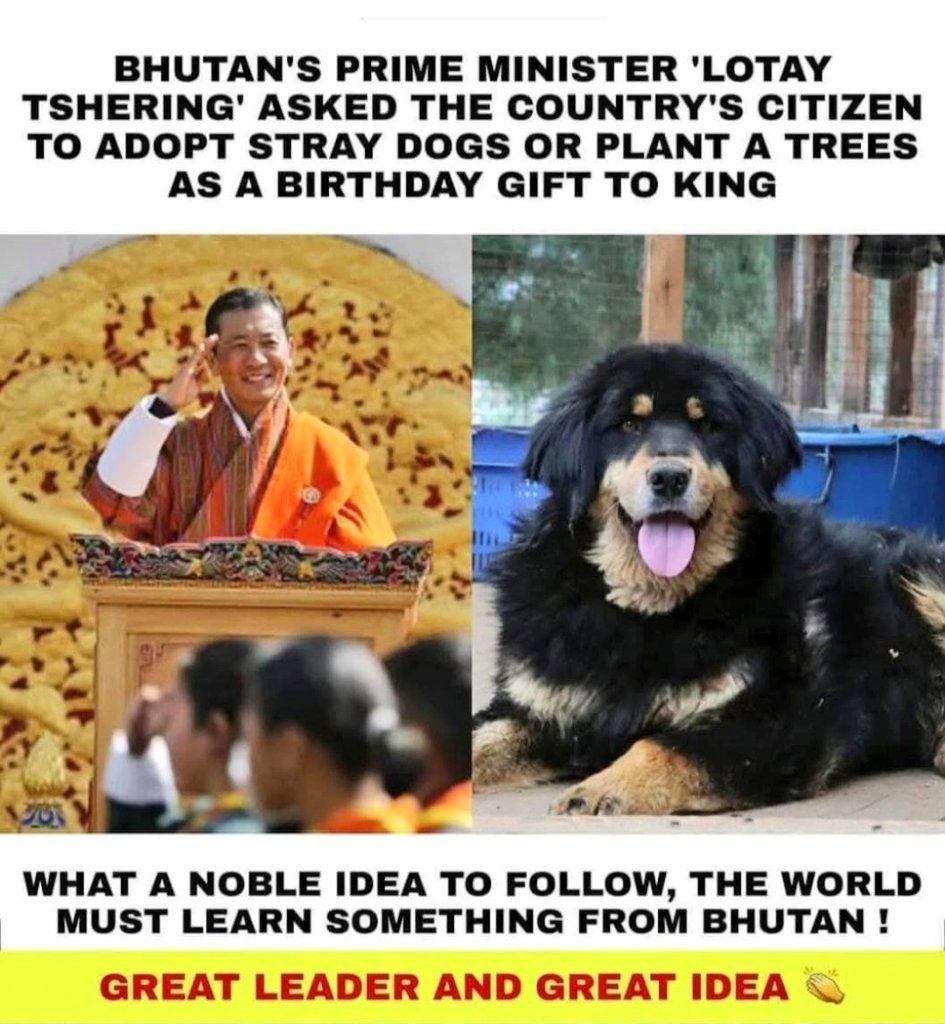 Vidit Sharma 🇮🇳 (@theviditsharma) on Twitter photo What an amazing initiative by the Hon. Prime Minister of Bhutan <a href="/tsheringtobgay/">Tshering Tobgay</a>.
Instead of gifts for his birthday, he requested people to adopt a stray dog & plant a tree.
Such a compassionate and inspiring way to celebrate a personal milestone thousands of strays will find What an amazing initiative by the Hon. Prime Minister of Bhutan <a href="/tsheringtobgay/">Tshering Tobgay</a>.
Instead of gifts for his birthday, he requested people to adopt a stray dog & plant a tree.
Such a compassionate and inspiring way to celebrate a personal milestone thousands of strays will find