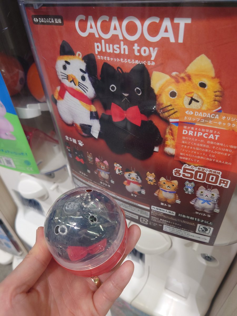 ＼( 'ω')／ﾋｬｯﾊｱｱｱｱｱｱ
一発目で黒猫マスター来た(*ﾟ∀ﾟ*)🐈‍⬛❤
他の猫ちゃんでも可愛いから良し！って軽い気持ちで回したらマスター来てくれたから嬉しいぃー🥹💖