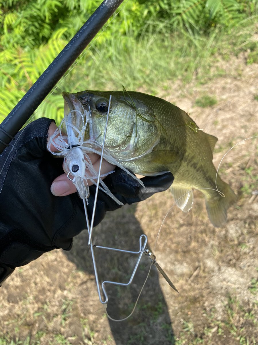 F*ュ様 snatch 非売品　BUTZ バス釣り BUTZ/Snatch 140HF - HONEYSPOT