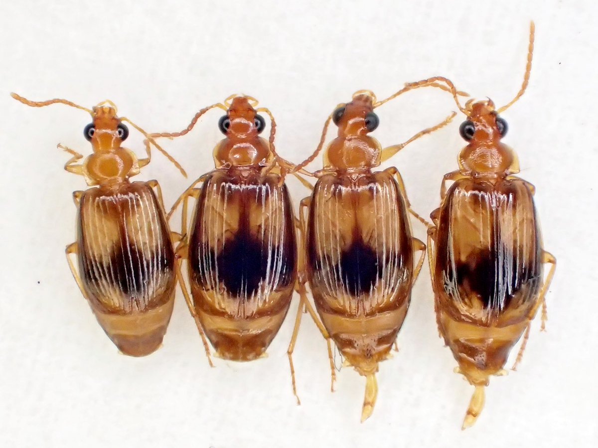 5364 (@5364mst) / Posts / X