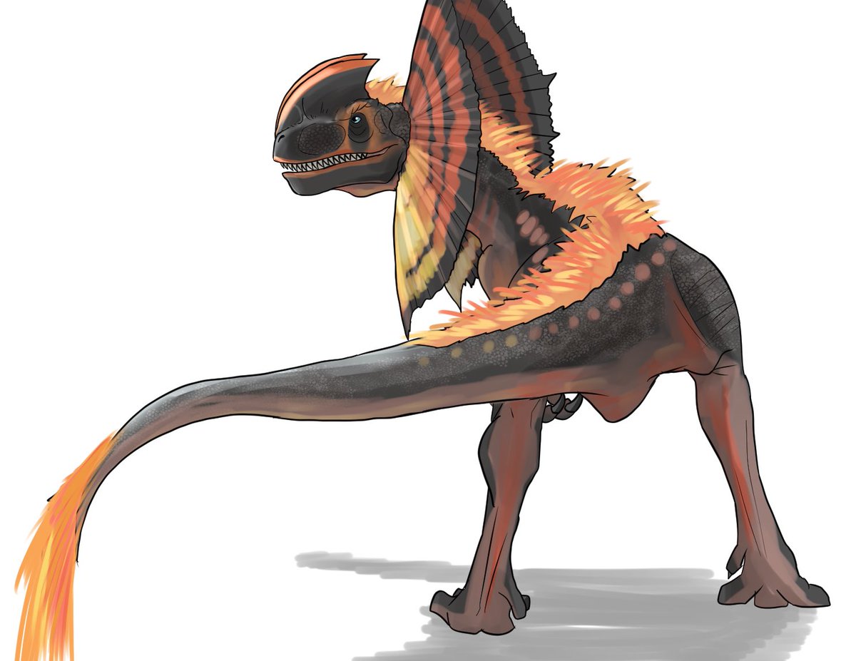 レフレナンテム✍🏻