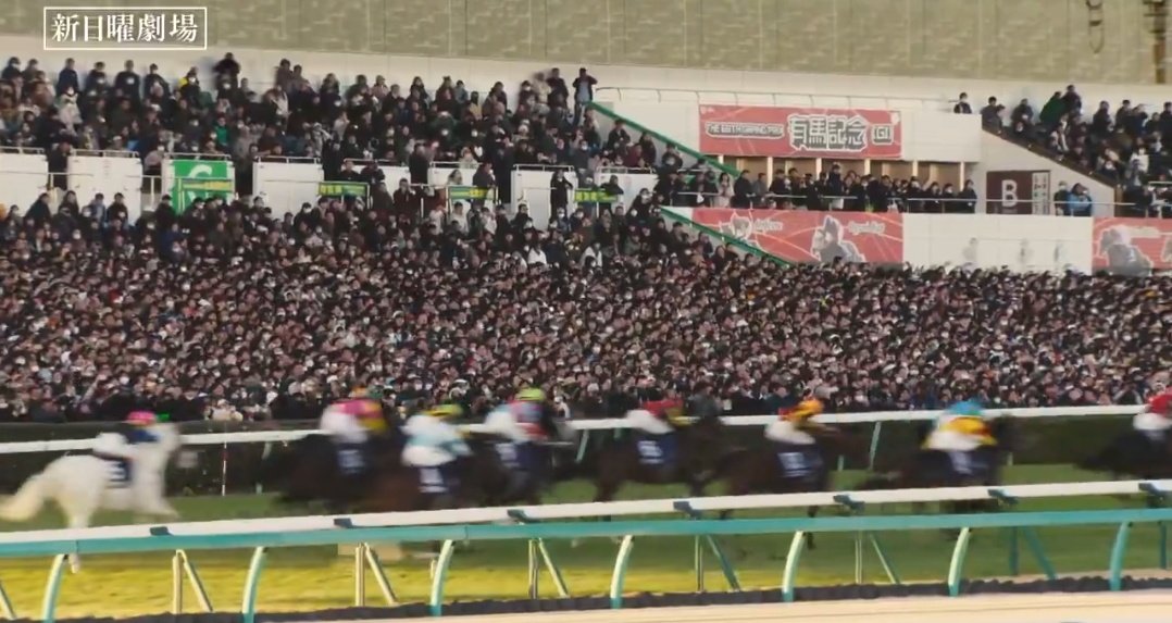 yziILGbmUA4yYK8's tweet image. レース映像は2024年の有馬記念ですね。

抜粋すると、ハナを主張したダノンデサイル🥉(1番)
番手がベラジオオペラ(5番、4着)
3、4番手にいるのが内にいる青帽がレガレイラ🥇(8番)で外のピンク帽がシャフリヤール(16番)
ディープボンドと殿に白毛のハヤヤッコもいます。
#有馬記念　#ロイヤルファミリー