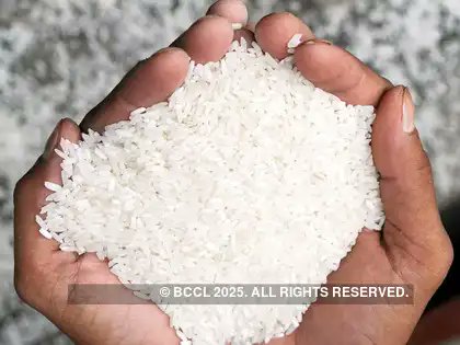 🚨India pushes rice exports to Philippines, world’s largest importer of the grain