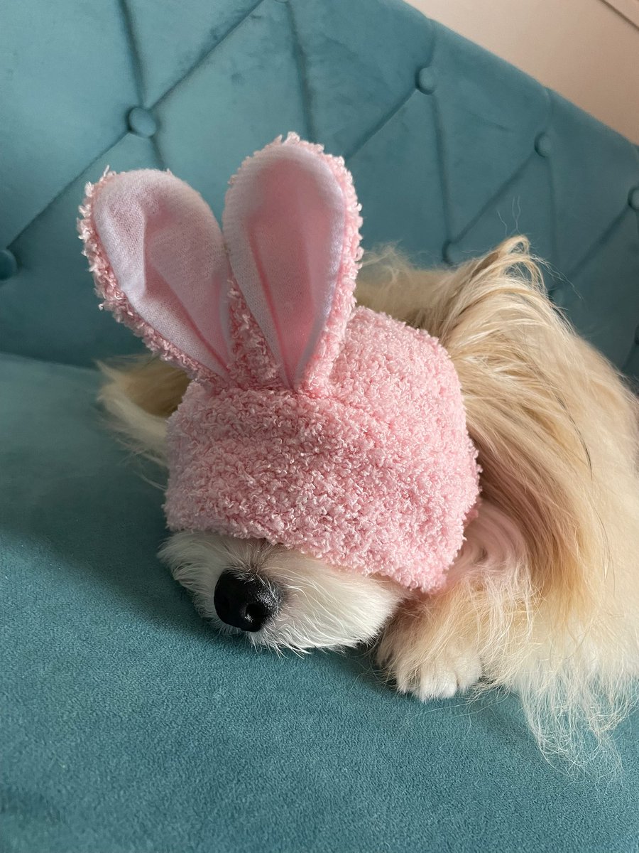 もう寝るからねー