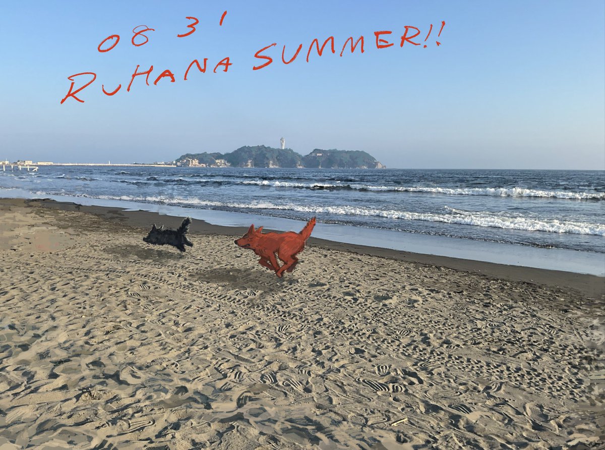 カラアゲ (@karaagefire1) on Twitter photo 