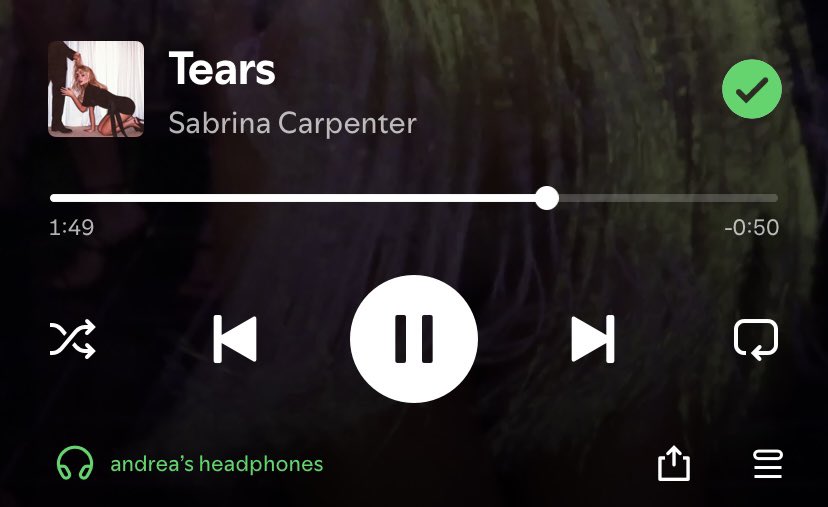 rainbowettes's tweet photo. my top 4 from man’s best friend !! I genuinely love this album I really like the vibes it has omg everyone go stream https://t.co/KgiTgljt5D