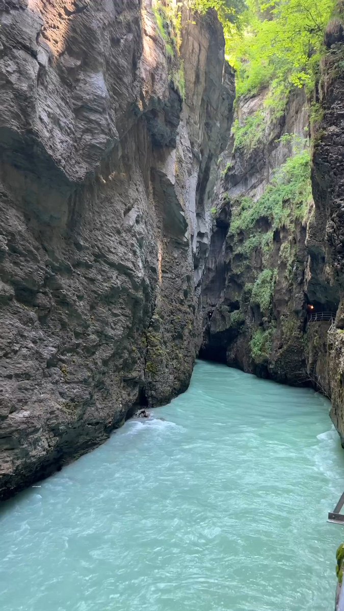 عليا (@aliasweden1) on Twitter photo 