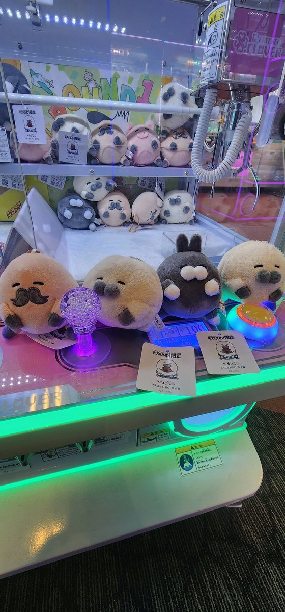 ラウンドワン南砂店に行きました。
今回はこのくらいですね。
まだまだ残ってたので、また来ようかな。

#のらフォトコン
 #ラウンドワン限定プライズ