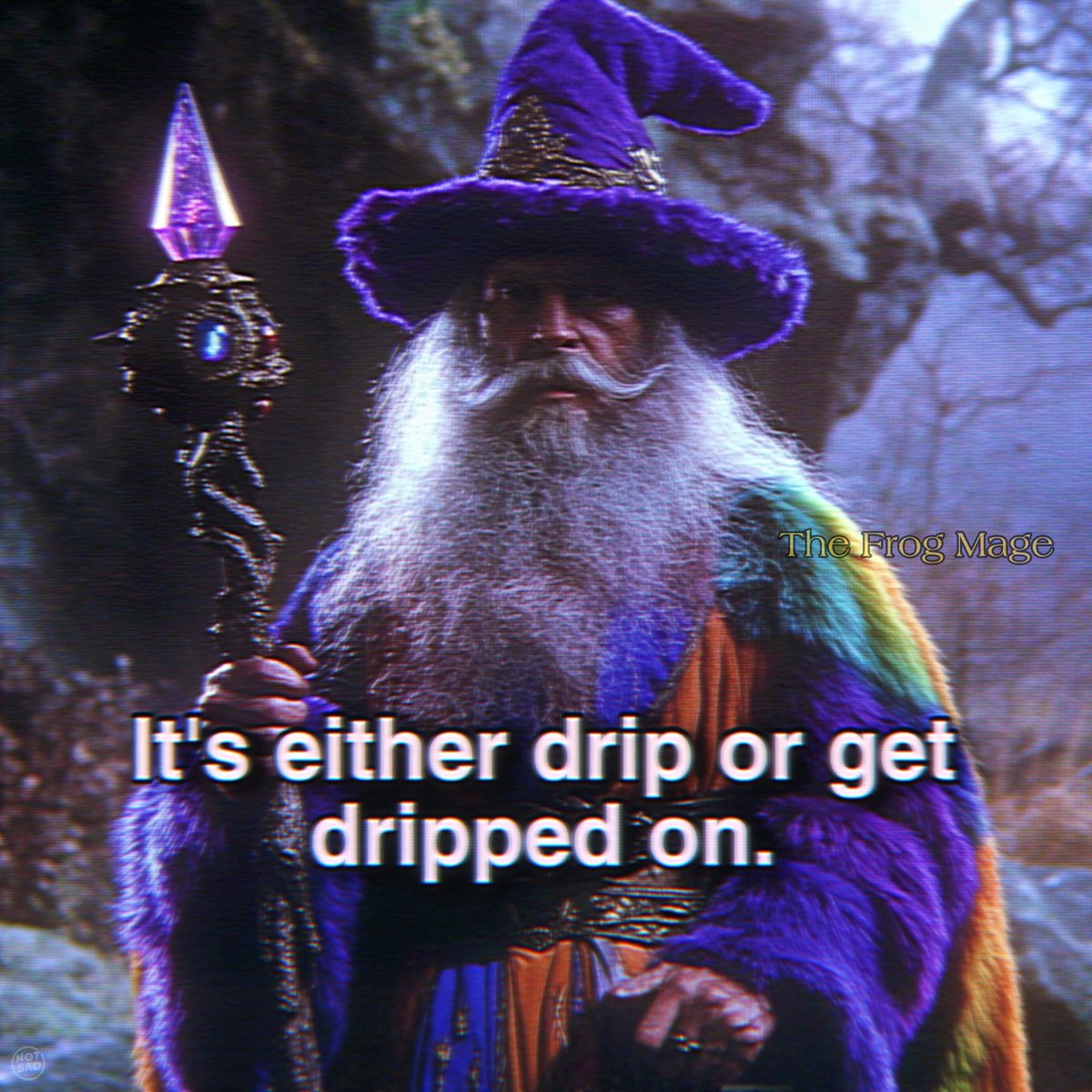 The Frog Mage (@the_frog_mage) on Twitter photo 