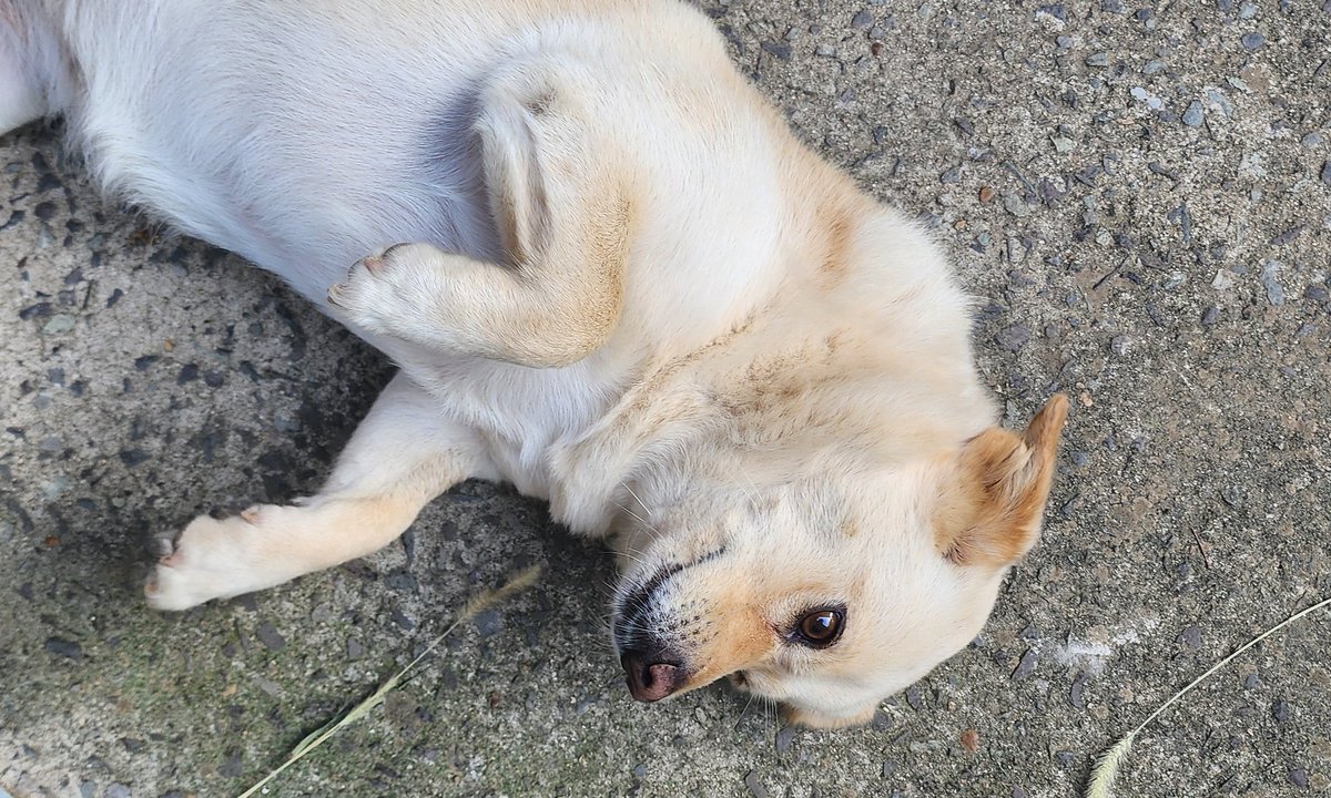 영월 (@zero_month0) on Twitter photo 