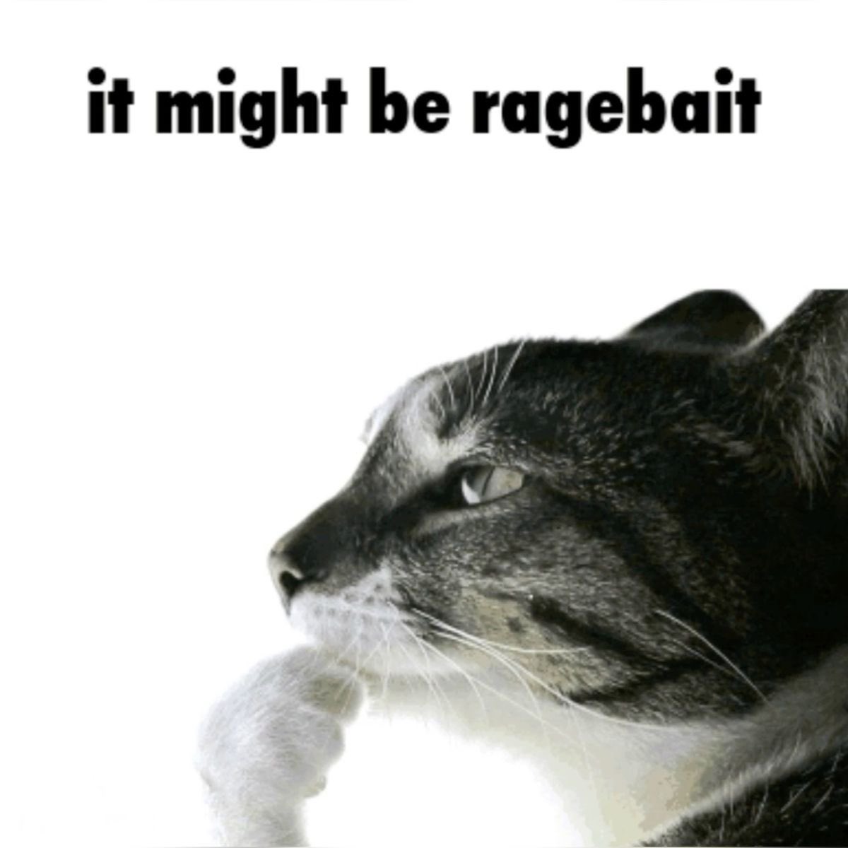 Basownik tweet media