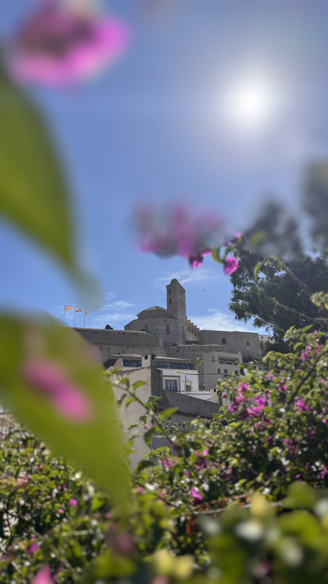 - Llévame contigo
- ¿A dónde, abuela?
- Contigo. A tu casa

🧡 Mi casa durante 7 años fue ésta