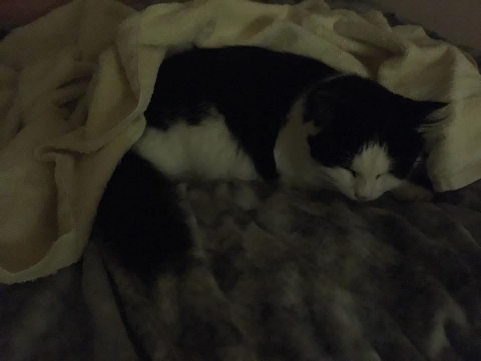 Billie & Charlie tweet media