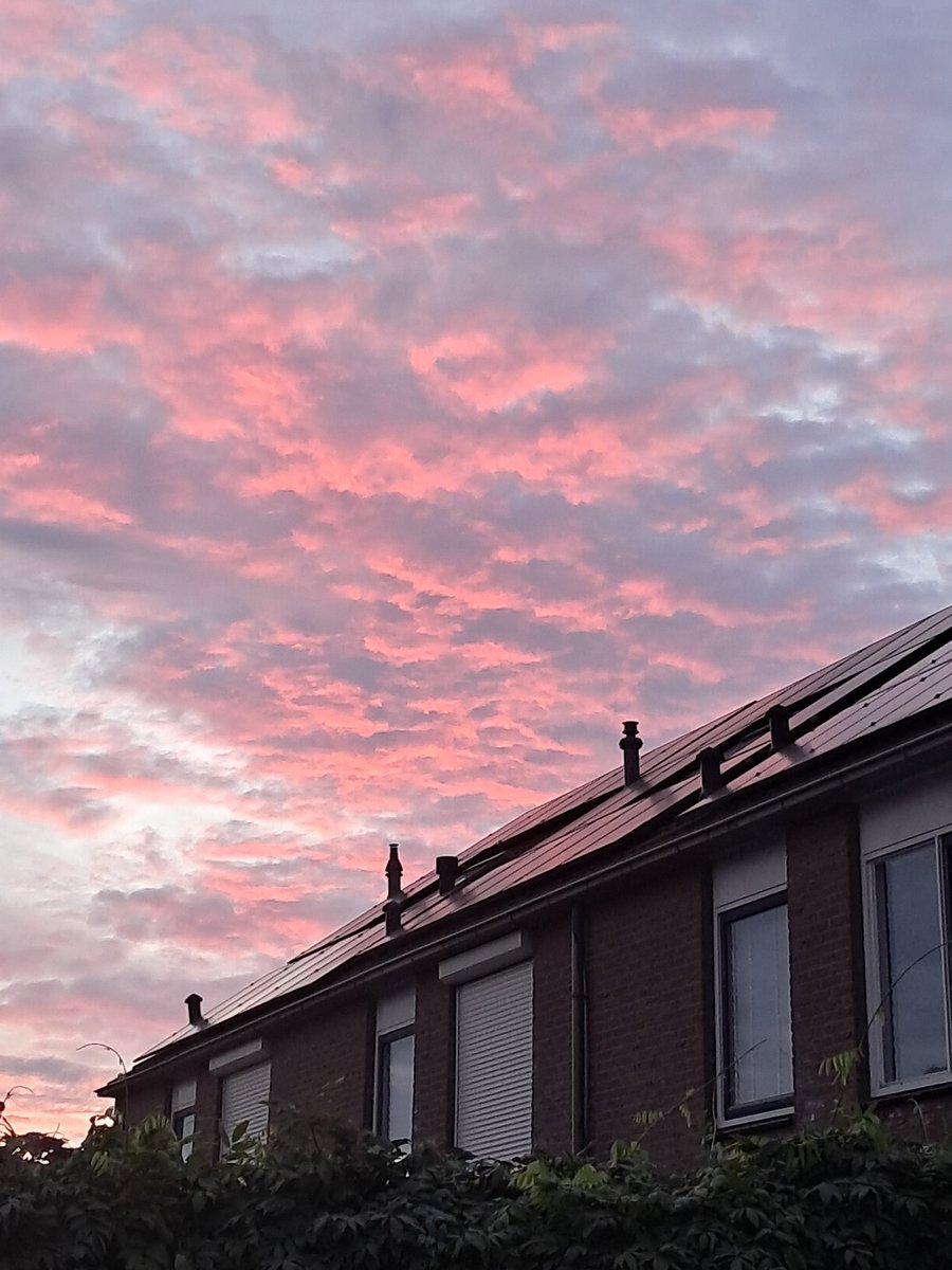 Een vleugje rood
