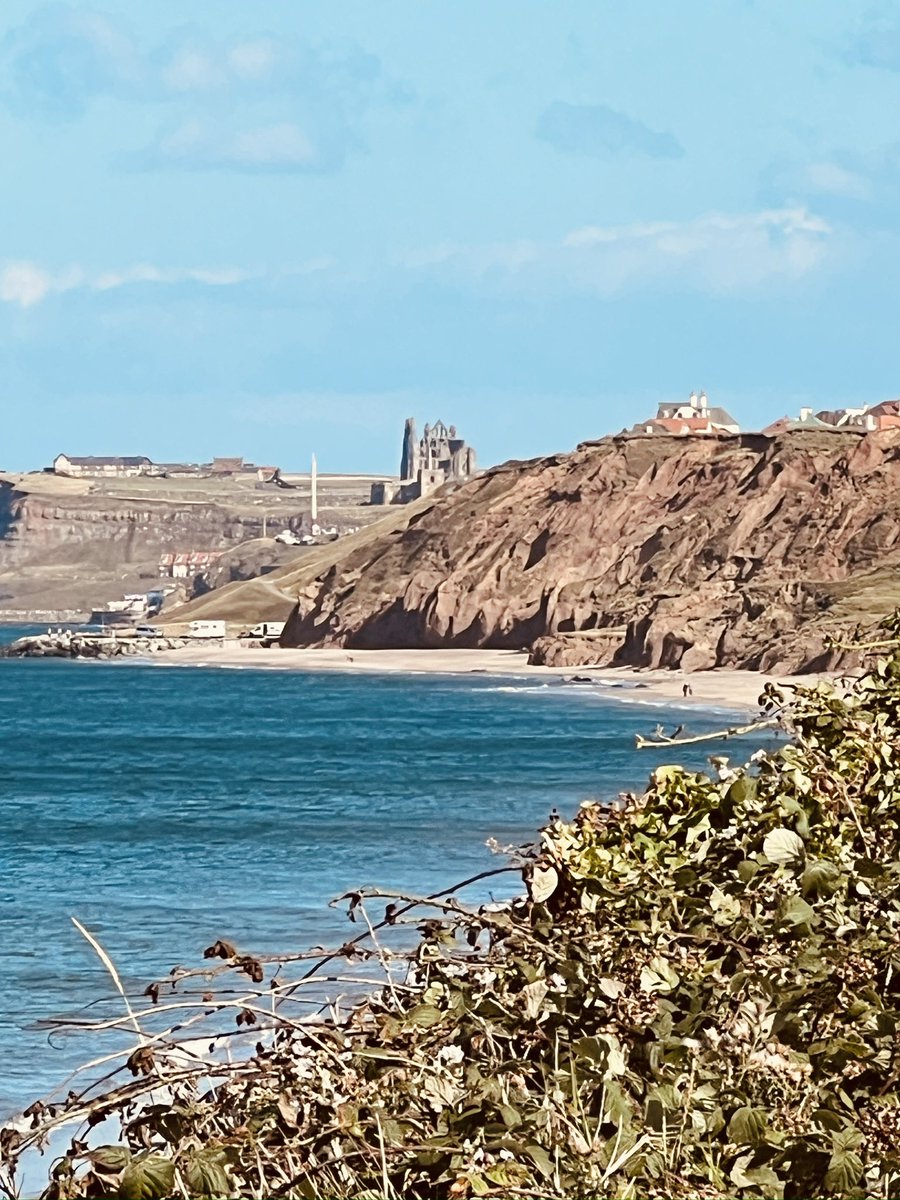 Sea air &amp; self care with some summer staycations, walks &amp; the #greatbritishpub in our beautiful British isles #1 at the sublime #Saltmoore #wellbeing