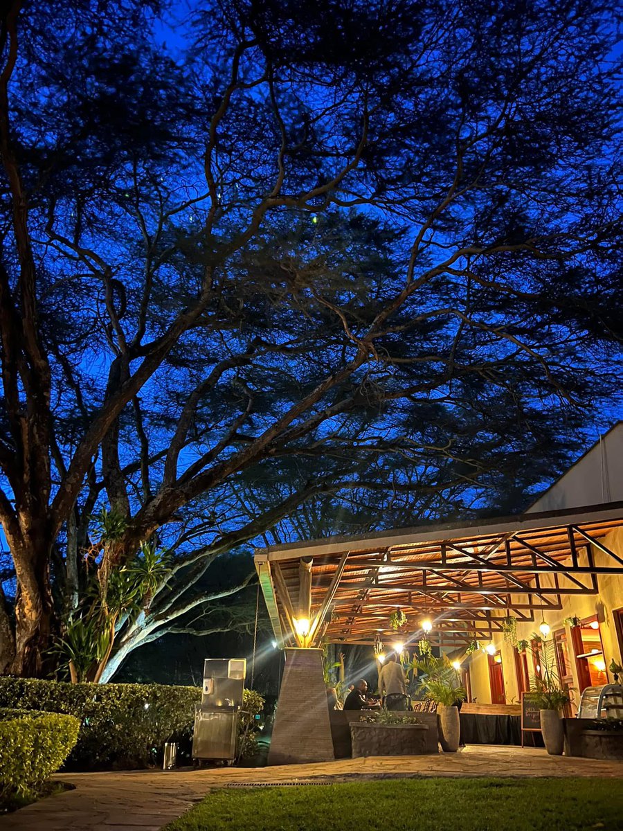 I snapped this photo a few months ago in Naivasha - there is something surreal about the blue sky just before darkness falls…