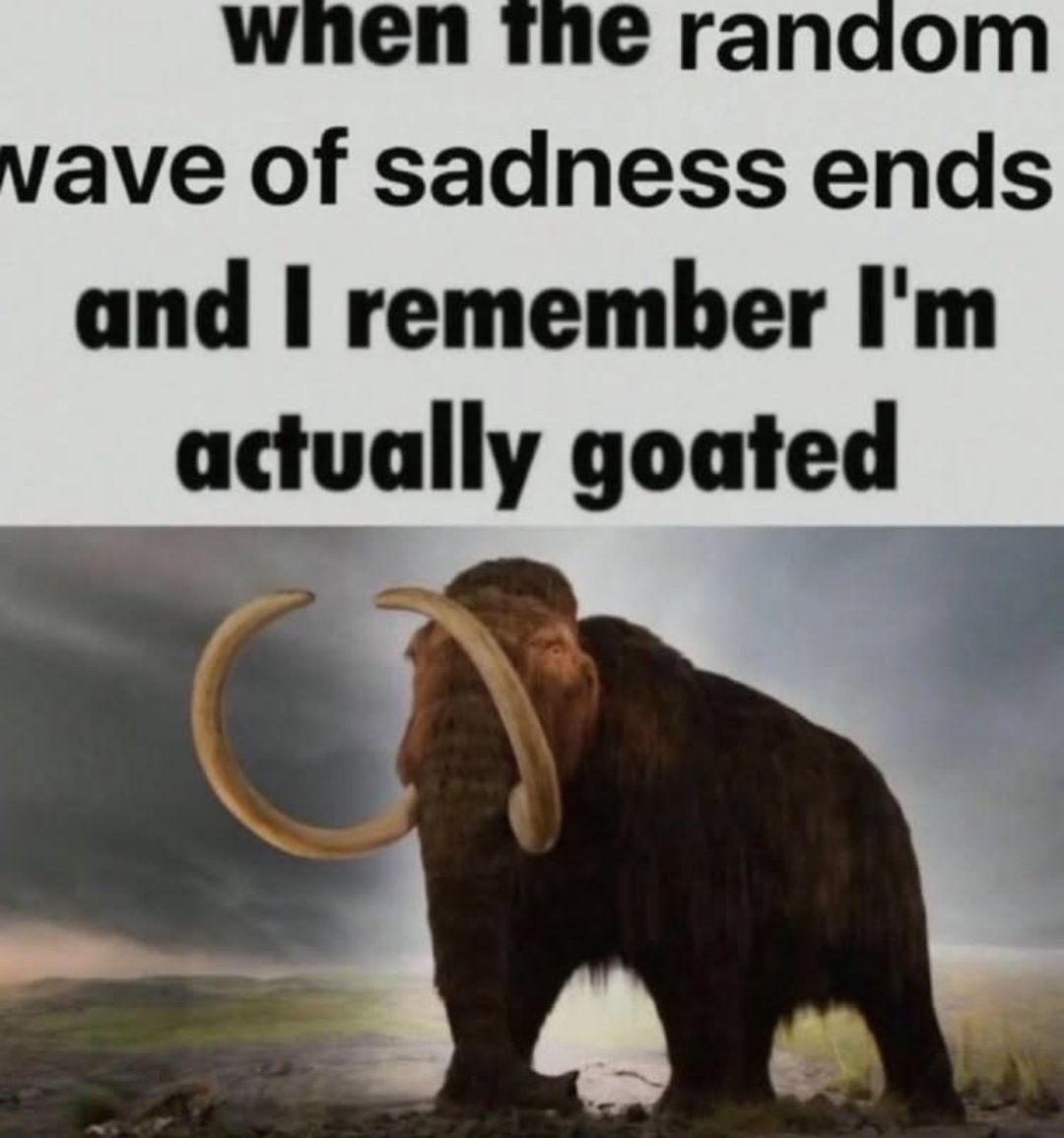 frav ❉ tweet media