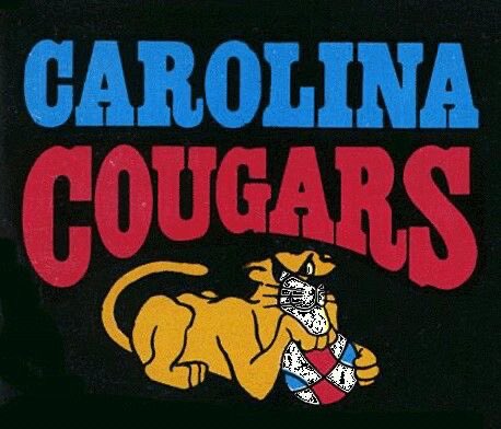 abathrowbacks's tweet image. The ABA had tons of great team logos. Which, of these four, do you like the most??